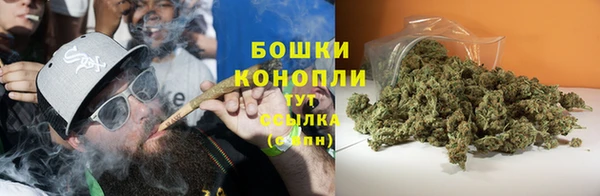 ешки Белокуриха