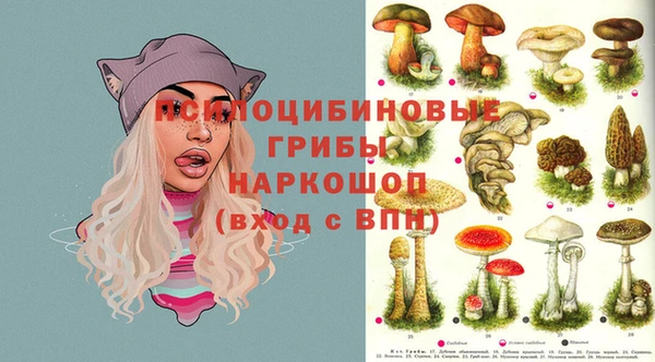 ешки Белокуриха