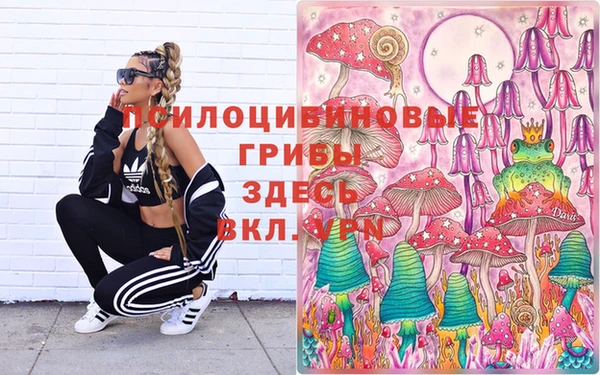 бошки Беломорск