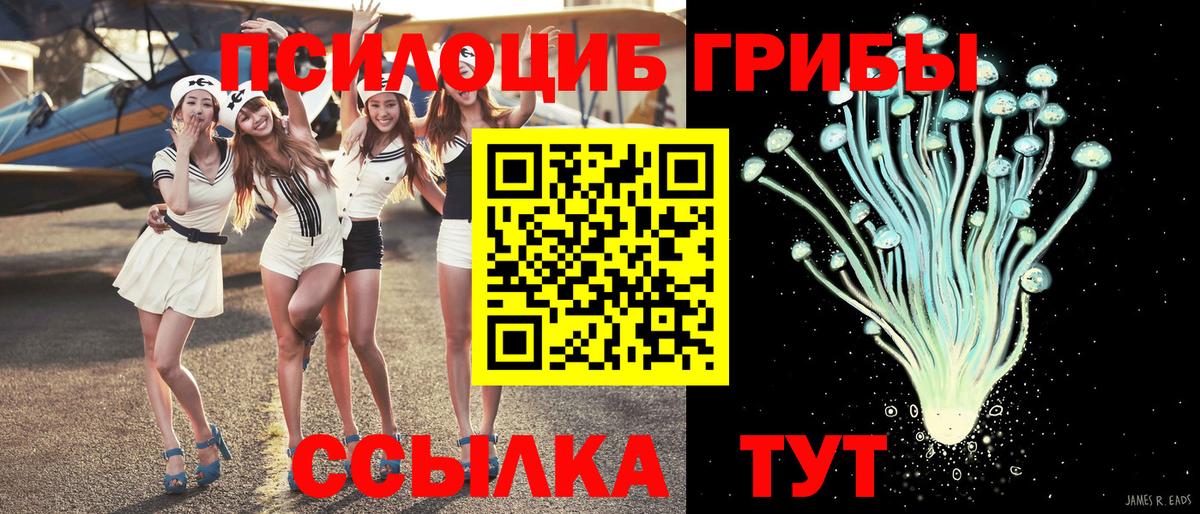 COCAIN Малоярославец
