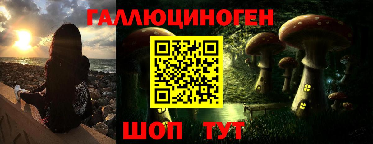 Псилоцибиновые грибы прущие грибы Малоярославец