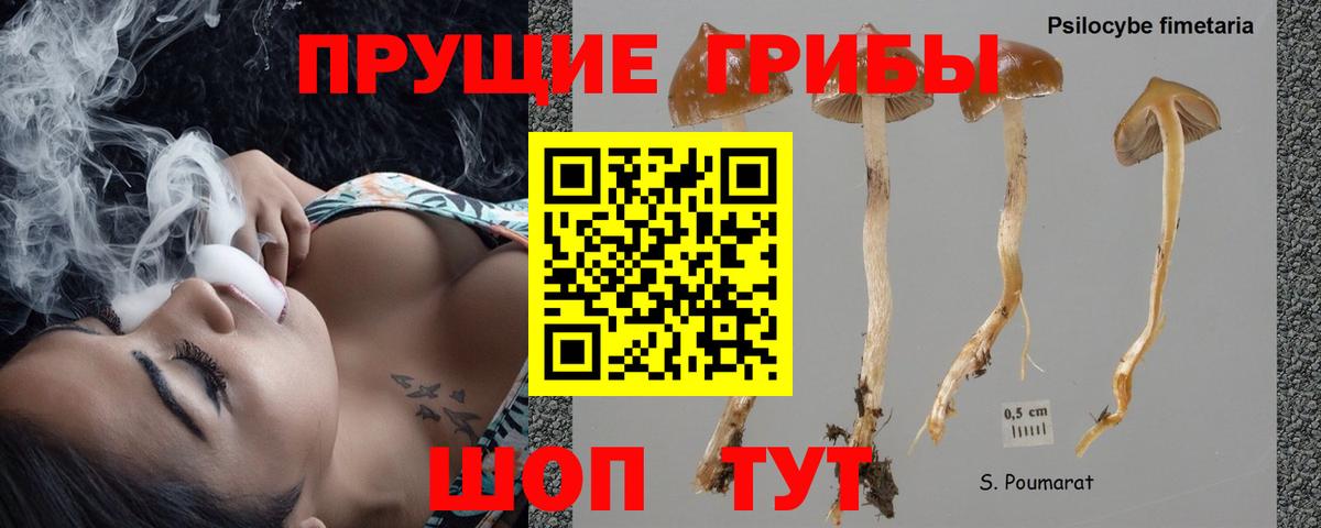 Малоярославец  Галлюциногенные грибы ЛСД  Вход с VPN 